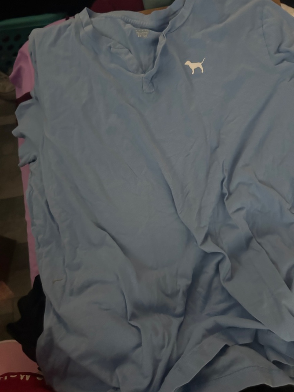 PINK Victoria's Secret Light Blue Short-Sleeve Tee with Dog Logo